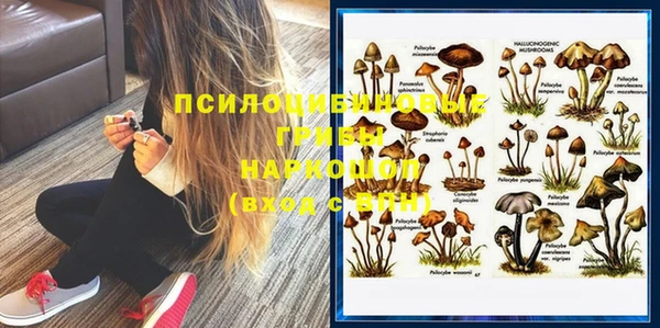 молекула духа Балахна