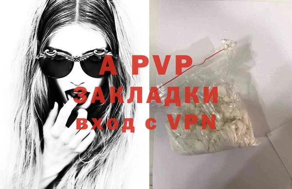 молекула духа Балахна
