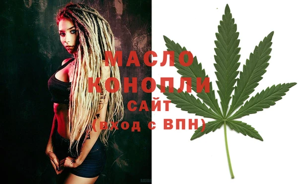молекула духа Балахна