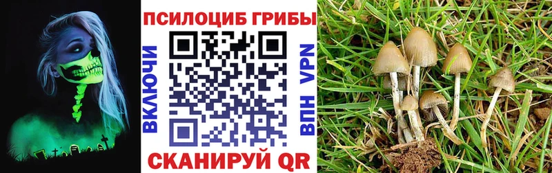 Галлюциногенные грибы ЛСД  цены   Заводоуковск 